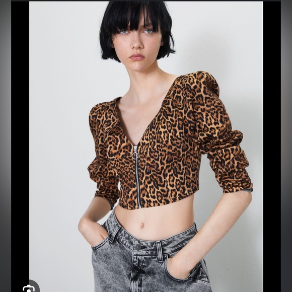 Zara Tops Zara Animal Print Top Poshmark